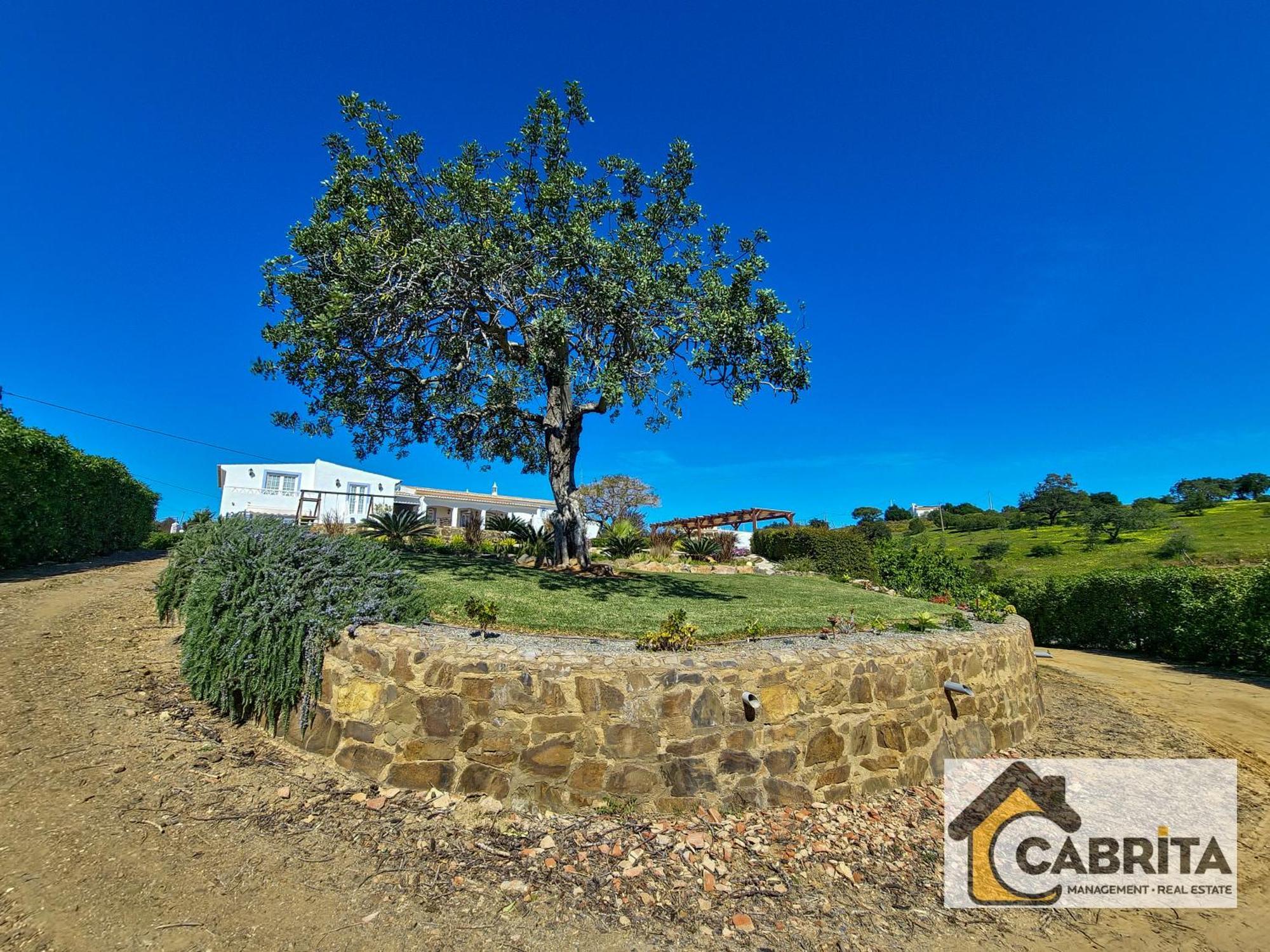 Quinta Dos Medronheiros Villa Altura Eksteriør bilde