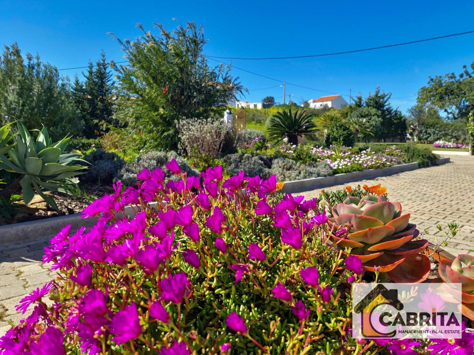 Quinta Dos Medronheiros Villa Altura Eksteriør bilde